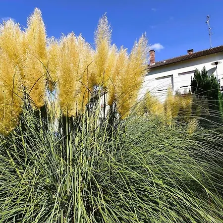 Haus Naehe Fuer 12 Personen Eriskirch